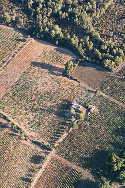 Balade photo aérienne - vallées en ULM pendulaire, survol de vignes dans le Var
