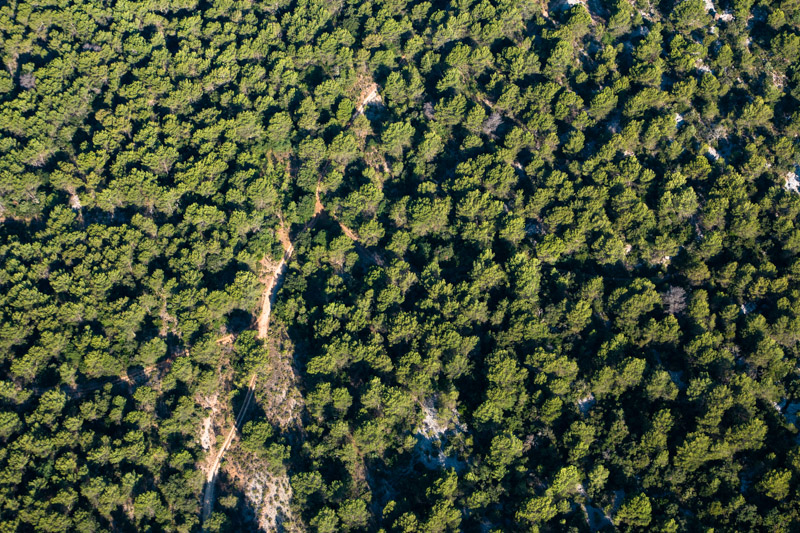 Balade photo aérienne Signes Saint-Cyr en ULM pendulaire, survol d'une forêt de Pins dans le Var