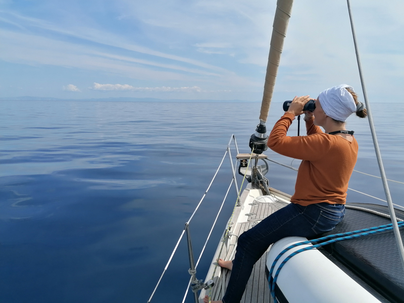 voyages photo naturalistes et scientifiques, collecte de données pendant une croisière scientifiques d'étude et d'observation des cétacés de Méditerranée